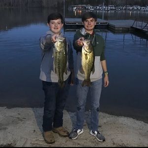 Meet your Posher, Kurtis